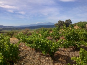 parcellesetcanigou1